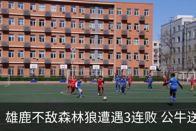 雄鹿不敌森林狼遭遇3连败 公牛送灰熊7连败