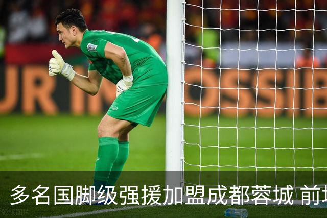 多名国脚级强援加盟成都蓉城 前场还有进人空间